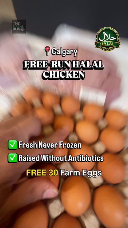 Free-Run Halal Chicken Box - 🎁 30 FREE Farm Eggs Included