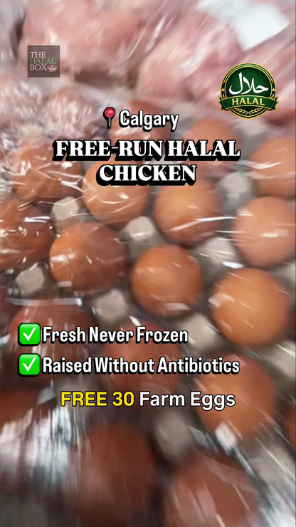 Free-Run Halal Chicken Box - 🎁 30 FREE Farm Eggs Included